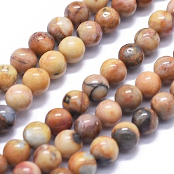 Other Jasper Natural Venus Jasper Beads Strands, Round, 6mm, Hole: 1mm, about 68pcs/strand, 15.7 inch(40cm)