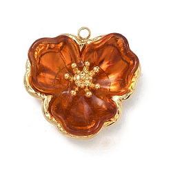 Шоколадный 304 подвески из нержавеющей стали, с акриловой, , вакуумное покрытие pvd, реальный 18 k позолоченный, цвет шоколада, 25x25x10 мм, отверстие : 1.8 мм