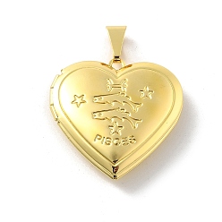 Рыбы Подвески латуни медальон, без свинца и без кадмия, долговечный, стойки покрытие, реальный 18 k позолоченный, сердце с двенадцатью созвездиями, Рыбы, 29x28.5x7 мм, отверстие : 7.5x3.5 мм, внутренний диаметр: 20x21 мм