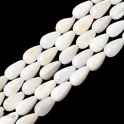 Teardrop Естественных пресноводных оболочки бисер нитей, белые, слеза, 8.5x5 мм, отверстие : 0.6 мм, около 22 шт / нитка, 7.09'' (18 см)
