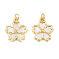 Real 16K Gold Plated Brass with White Shell Pendants, Flower Charms, Real 16K Gold Plated, 17x15x3mm, Hole: 3mm