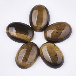 Тигровый глаз Природных тигровый глаз кабошонов, класс +, овальные, 24~26x17~19x6~7 мм