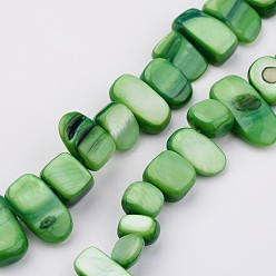 Зеленый Природные оболочки нитей бисера, окрашенные, самородки, зелёные, 7~22x6~9x4~6 мм, отверстие : 1 мм, около 52 шт / нитка, 15.2 дюйм