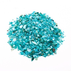 Dark Turquoise Natural Freshwater Shell Beads, Shell Shards, Dyed, No Hole, Chip, Dark Turquoise, 1~10x1~4x0.5~2mm