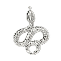 Нержавеющая Сталь Цвет 304 подвески из нержавеющей стали, змеиные чары, цвет нержавеющей стали, 40x30 мм