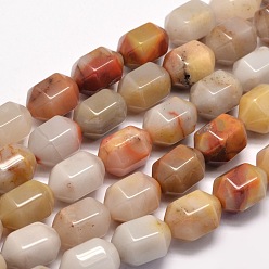 Bloodstone Natural Bloodstone Beads Strands, Heliotrope Stone Beads, Hexagonal Prism, 18x13x13mm, Hole: 1mm, about 22pcs/strand, 15.7 inch