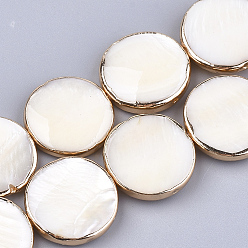 Shell Freshwater Shell Multi-strand Links Strands, 4-Hole, Flat Round, Light Gold Plated Edge, 20x4.5~5mm, Hole: 1mm, about 10pcs/strand, 7.8 inch