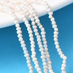 Морская Ракушка Нити из натурального культивированного пресноводного жемчуга, картофель, класс А, цвет морской раковины, 1.8~2 мм, отверстие : 0.5 мм, около 176~177 шт / нитка, 14.57~14.72'' (37~37.4 см)
