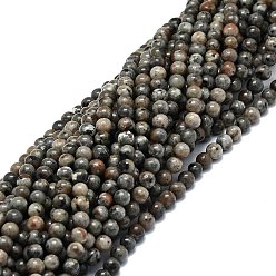 Syenite Натуральный флуоресцентный сиенитовый камень (светящийся в ультрафиолетовом свете) бусины нити, круглые, 6 мм, отверстие : 0.9 мм, около 67 шт / нитка, 15.55'' (39.5 см)