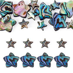Colorido 12 piezas 2 estilos concha de abulón natural / cuentas de concha de paua, estrella, colorido, 9~15.5x9~16x3~3.5 mm, agujero: 0.8~1 mm, 6 piezas / estilo