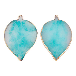 Светло-Синий 1 Палитра цветов, имитирующая агат из поликарбонатной смолы, для макияжа косметический инструмент для ногтей, Форма листа с золотым краем, голубой, 11.5~11.7x7.7~7.8x0.8~1 см