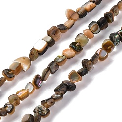 Разноцветный Природные пауа стеклянные бусы нити, самородки, красочный, 3~5x4~6x2~3.5 мм, отверстие : 0.5 мм, около 131 шт / нитка, 16.14'' (41 см)