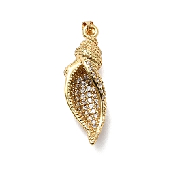Shell Shape Латунные микро проложить кубического циркония подвески, реальный 18 k позолоченный, формы раковины, 35x11x10 мм, отверстие : 5x4 мм