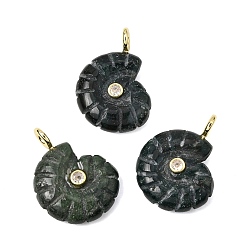 Мосс Агат Подвески из натурального мха и агата, вырезанные из камня., Подвески в форме раковины с латунными микропаве из прозрачных кубических цирконий., золотые, стойки покрытие, 34x25~26x10 мм, отверстие : 3.5 мм