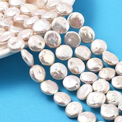 (404) Непрозрачное AB Кислое яблоко Натуральный жемчуг в стиле барокко кеши, культивированный пресноводный жемчуг, плоско-круглые, класс 5а+, цветочный белый, 12~13x4~6 мм, отверстие : 0.6 мм, около 30~31 шт / нитка, 15.16''~15.55'' (38.5~39.5 см)