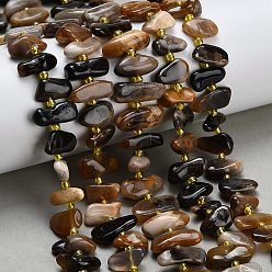 Африканский Опал Нити из натуральных черных африканских опаловых бусин, самородки, упавший камень, с бисером, 11.5~20.5x4.5~8.5 мм, отверстие : 0.8 мм, около 43~47 шт / нитка, 14.96''~15.35'' (38~39 см)