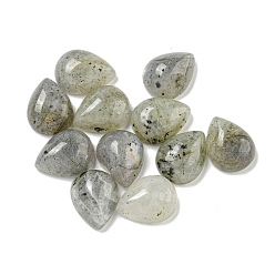 Лабрадорита Природные кабошон лабрадора, слеза, 10.5x8x4 мм