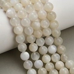White Moonstone Натуральный белый лунный камень бисер пряди, гладкий круглый, 8~8.5 мм, отверстие : 1 мм, около 47 шт / нитка, 15.63'' (39.7 см)