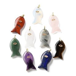 Смешанные камни Природные и синтетические смешанные подвески драгоценных камней, Подвески в виде рыбок с латунной микропаве из прозрачных кубических цирконий, золотые, смешанные окрашенные и неокрашенные, 39.5~40x20~20.5x8.5 мм, отверстие : 4x4.5 мм