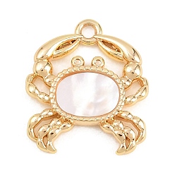 Настоящее золото 18K Подвески в виде морских животных из натуральных ракушек, латунные подвески в виде крабов, долговечный, стойки покрытие, без свинца и без кадмия, цвет морской раковины, реальный 18 k позолоченный, 17.5x15.5x2.5 мм, отверстие : 1.6 мм