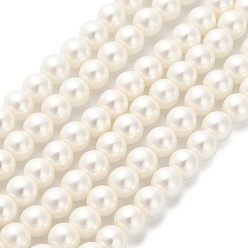 Coquillage De Mer Perles rondes en nacre plaquée couleur AB, polie, couleur de coquillage, 4.5x4mm, Trou: 0.8mm, Environ 103 pcs/chapelet, 16.22'' (41.2 cm)