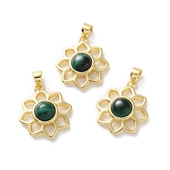 Малахит Природного малахита подвески, стойка покрытие золотистый тон латунные подвески, долговечный, без свинца и без кадмия, цветок, 18x16x5~5.5 мм, отверстие : 3.5x3 мм