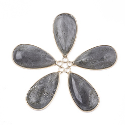 Лабрадорита Природные подвески лабрадорита, с латунной фурнитурой , слеза, золотые, 33x16~16.5x6 мм, отверстие : 2 мм