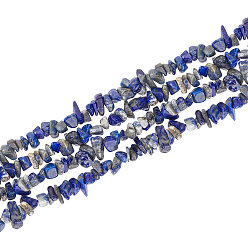 Lapis Lazuli Natural Lapis Lazuli Chip Beads Strands, 5~8x5~8mm, Hole: 1mm, about 31.5 inch(80cm), 2strands/box