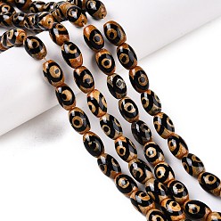 Сэнди Коричневый Натуральный тибетский агат 3-глаз бусины нити, природных бисера агат, окрашенная и подогревом, овальные, песчаный коричневый, 12x8 мм, отверстие : 1.2 мм, около 30 шт / нитка, 14.17'' (36 см)