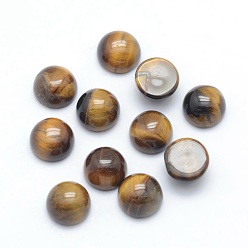 Tiger Eye Natural Tiger Eye Cabochons, Half Round, 6x3~3.5mm