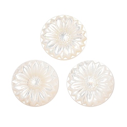 черная губная раковина Натуральная черная ракушка для губ с резными кабошонами, плоские круглые с цветком, 15x2.5 мм