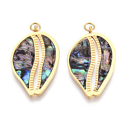 Раковина 304 подвески из натуральной ракушки пауа из нержавеющей стали, подвески в форме ракушек с соединительными кольцами, реальный 18 k позолоченный, ионное покрытие (ip), 28x17x3 мм, отверстие : 2.5 мм