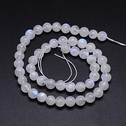 Rainbow Moonstone Natural Rainbow Moonstone Round Bead Strands, Grade AA, 8mm, Hole: 1mm, about 50pcs/strand, 15.5 inch