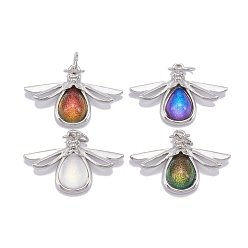 (52) Непрозрачная лаванда Латунь стекло кулоны, с кольцом junmp, платина, долговечный, без свинца, без никеля и без кадмия, насекомое, разноцветные, 15x23x4.5 мм, Перейти кольцо: 5x0.8 мм, 3.5 мм внутренним диаметром