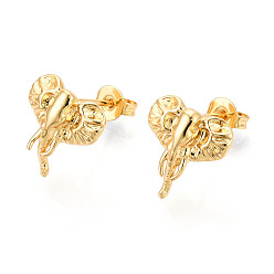 Настоящее золото 18K Латунь серьги, слон, реальный 18 k позолоченный, 12x11.5 мм