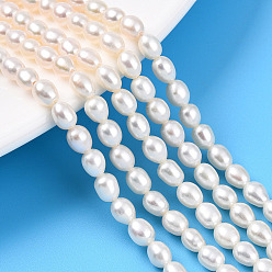 Кремово-белый Нити из натурального культивированного пресноводного жемчуга, рис, кремово-белые, 5~5.5x4~4.5 мм, отверстие : 0.6 мм, около 35~37 шт / нитка, 7.09~7.48'' (18~19 см)