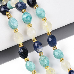 Смешанные камни Нити из натуральных бусин содалита, амазонита в форме цветка и лимонного кварца, рис, граненые, с бисером и картоном, 7.5~9x6~7 мм, отверстие : 0.9~1.2 мм, около 18~19 шт / нитка, 7.09~7.68 дюйм (18~19.5 см), 1 прядь / комплект