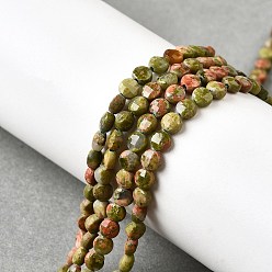 Унакит Природные Unakite бисер нитей, граненый квадратный разрез, плоско-круглые, 4x2.5 мм, отверстие : 0.7 мм, около 111 шт / нитка, 15.24'' (38.7 см)