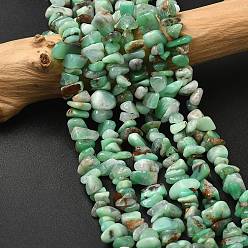 Хризопраз Натуральные хризопразные бисерные пряди, чип, 5.5~14x5~7x2~5 мм, отверстие : 1 мм, 15.75~15.83 дюйм (40~40.2 см)