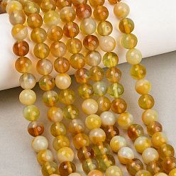 Гейнсборо Ручной работы бусины прядь, имитация нефрита, круглые, светло-серые, 7.5~8 мм, отверстие : 1.8 мм, около 49~54 шт / нитка, 14.76~15.16'' (37.5~38.5 см)