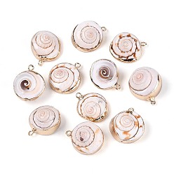 Морская Ракушка Подвески из натуральной раковины шивы с гальваническим покрытием., подвески в форме ракушек, с медными петлями, золотые, цвет морской раковины, 20.5~22.5x15~19x7.5~14 мм, отверстие : 1.5~2 мм