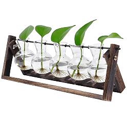 Coconut Brown PET Bulb Shape Hydroponic Vase, Plant Terrarium with Wood Base, Coconut Brown, 405x110x130mm