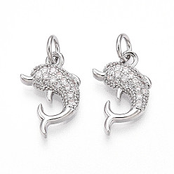 Платина Латунные микро проложить кубического циркония подвески, без кадмия и без свинца, с прыжковых колец, дельфин, платина, 15.5x9.3x3 мм, отверстие : 3 мм