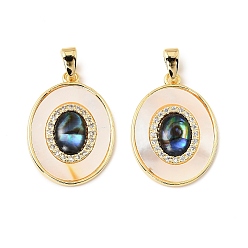 Белый Латунные Пауа оболочки подвески, с пресноводной ракушкой и прозрачным кубическим цирконием, реальный 18 k позолоченный, овальные амулеты, белые, 21x15.5x3 мм, отверстие : 5x2.5 мм