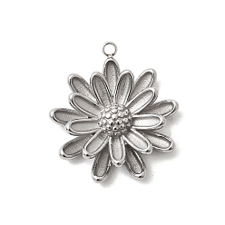 Нержавеющая Сталь Цвет 304 подвески из нержавеющей стали, , не тускнеет, цвет нержавеющей стали, 27x24x6 мм, отверстие : 1.8 мм