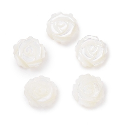 Blanc Perles naturelles de coquillages blancs, perles en nacre, la moitié foré, fleur, blanc, environ 8 mm de diamètre, épaisseur de 4mm, Trou: 0.5mm
