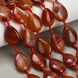 Red Agate Натуральный красный агат бисер нитей, окрашенная и подогревом, слеза, огнеупорный кирпич, 23.5~24x16~19x8~9.5 мм, отверстие : 1.2 мм, около 13~14 шт / нитка, 15.75''~16.54'' (40~42 см)