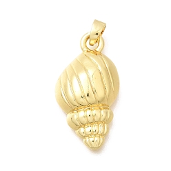 Другие Латунные подвески, платина, долговечный, подвески в форме раковины, 24x13x5 мм, отверстие : 5x3 мм