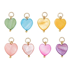 Золотой Подвески в виде сердечек из окрашенных натуральных пресноводных ракушек, с 304 фурнитурой из нержавеющей стали, разноцветные, золотые, 13.5~14.5x10~11.5x2.5~3 мм, Перейти кольцо: 5x0.8 мм, внутренний диаметр: 3.5 мм