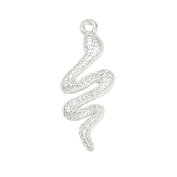 Серебро Подвески из сплава , змеиные чары, серебряные, 39x15x2 мм, отверстие : 2 мм